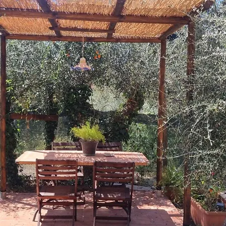 La Merla Del Tasso Vakantiehuis *