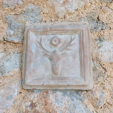 La Merla Del Tasso