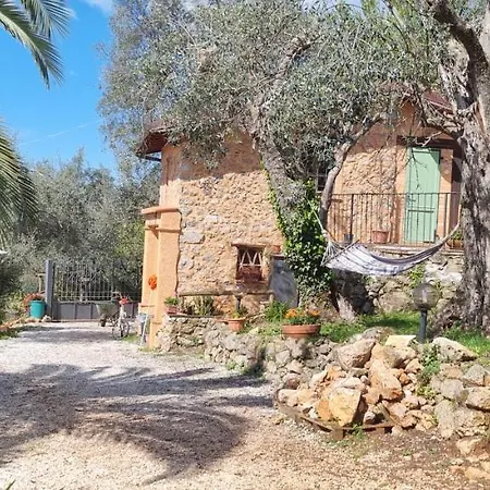 La Merla Del Tasso *