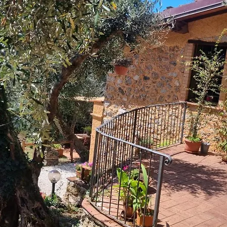 La Merla Del Tasso Camaiore