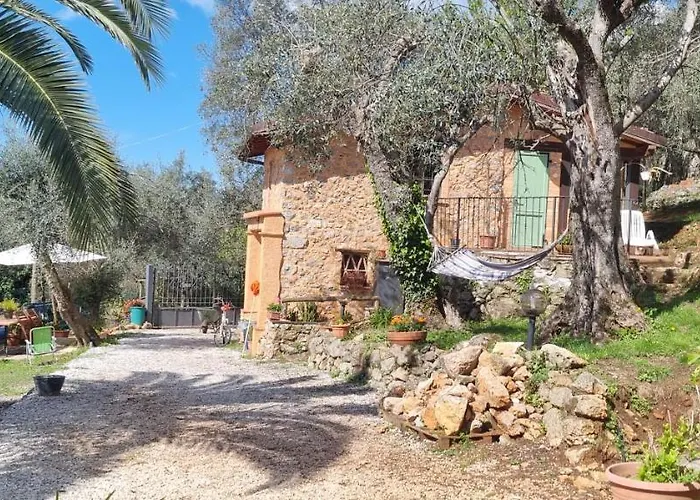 La Merla Del Tasso *